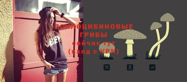 MDMA Дмитриев