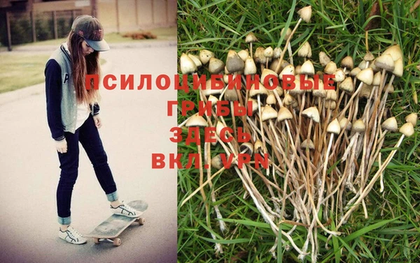 метамфетамин Дмитров