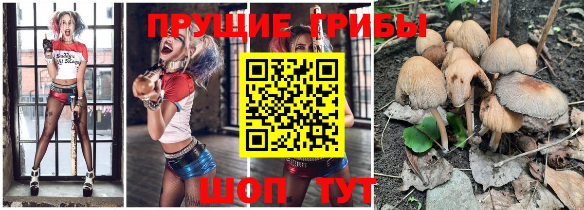 Псилоцибиновые грибы Cubensis  Вход с VPN  Губкинский  Галлюциногенные грибы Cubensis 