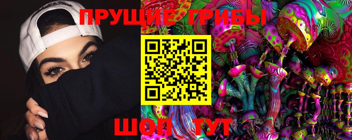 Псилоцибиновые грибы Psilocybine cubensis Губкинский