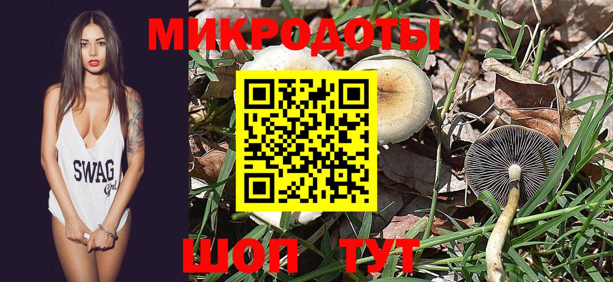 Галлюциногенные грибы Magic Shrooms  Губкинский 